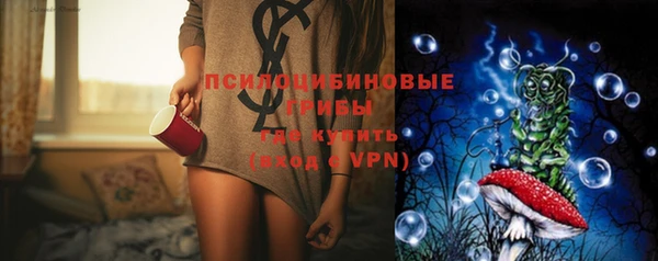 PSILOCYBIN Надым