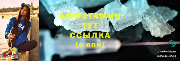 индика Нефтегорск