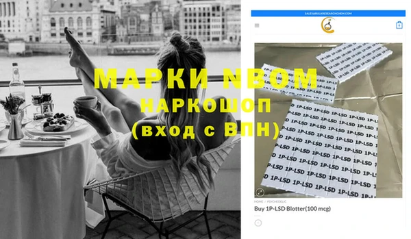 индика Нефтегорск
