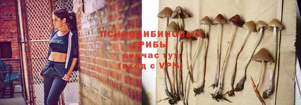 МДМА Анжеро-Судженск