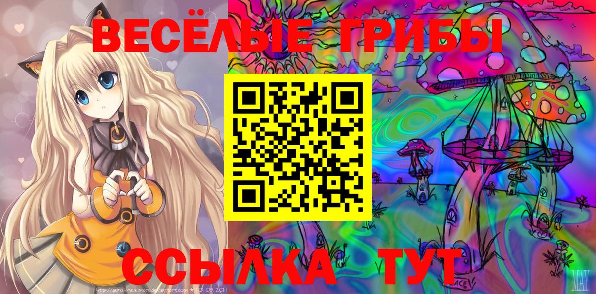 Галлюциногенные грибы GOLDEN TEACHER  Вход с VPN  Алушта 