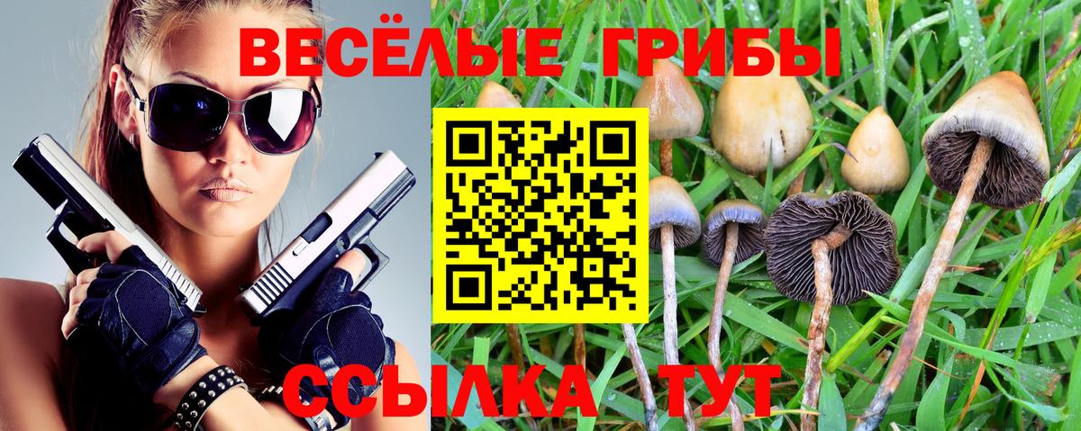 Псилоцибиновые грибы MAGIC MUSHROOMS  Алушта  Псилоцибиновые грибы мухоморы 