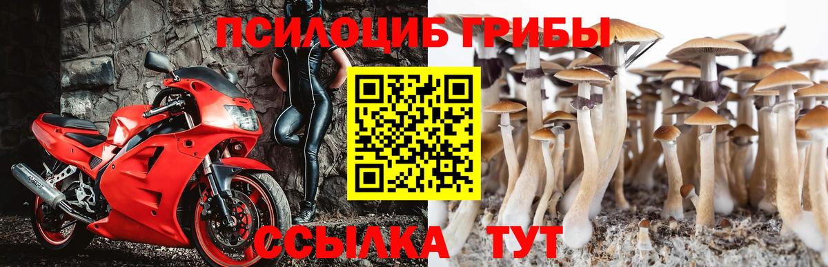 Псилоцибиновые грибы Psilocybine cubensis Алушта